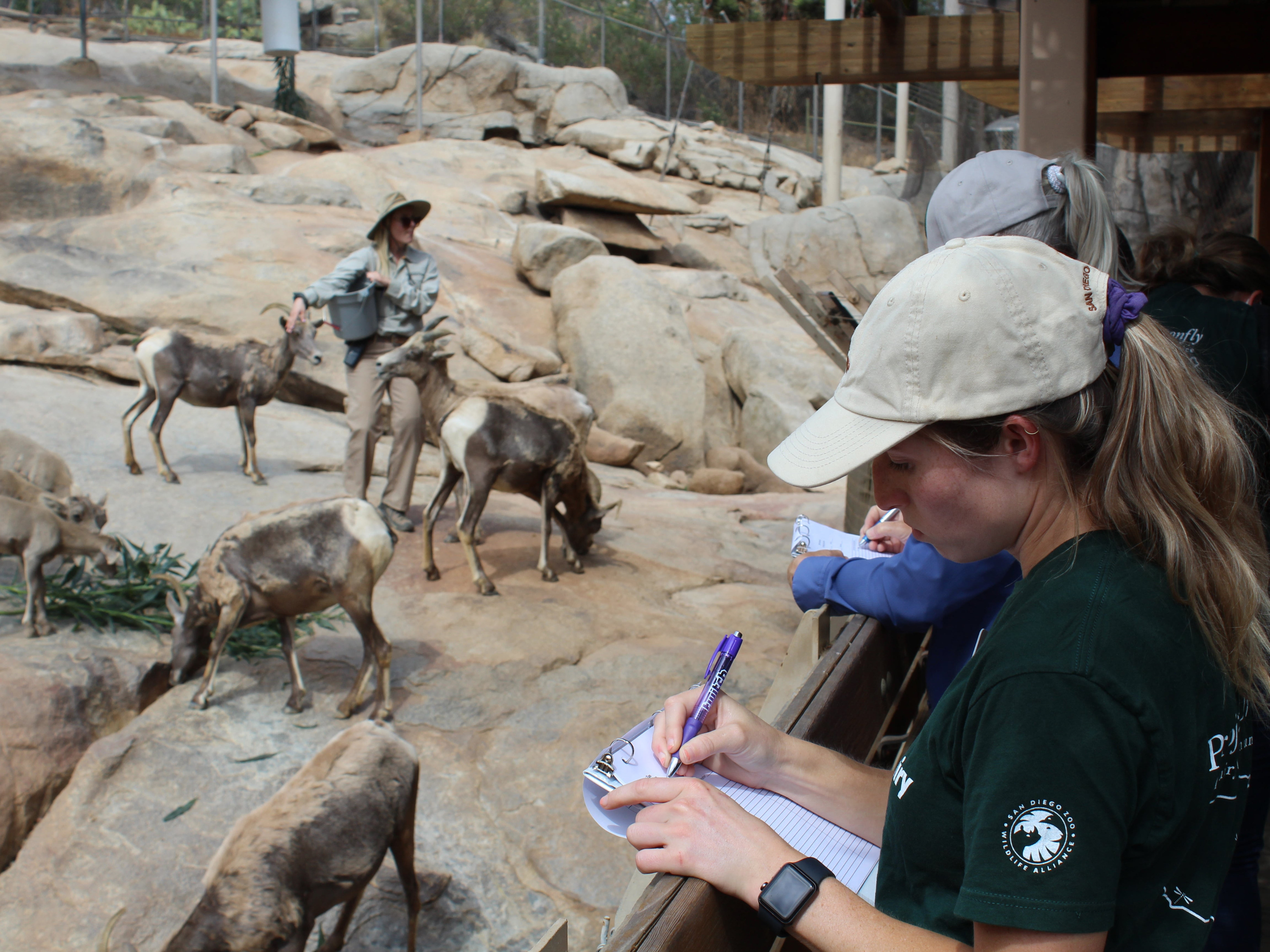 Wildlife specialist giving lesson