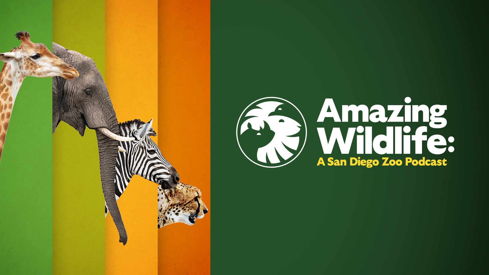Amazing Wildlife, San Diego Zoo Podcast 