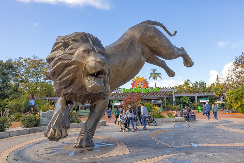 Lion