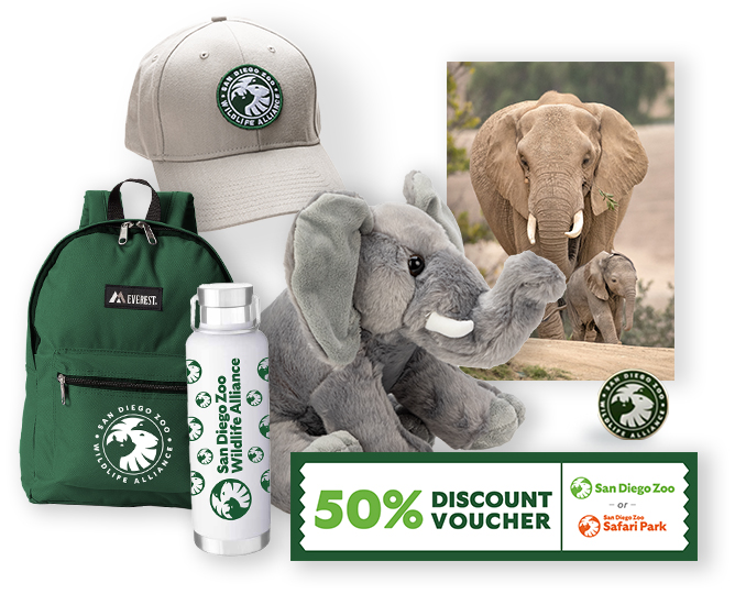 $1,000 Elephant Adoption