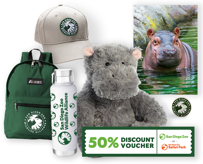 $1,000 Hippo Adoption 