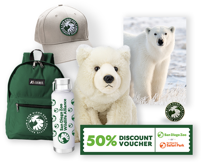 $1,000 Polar Bear Adoption 