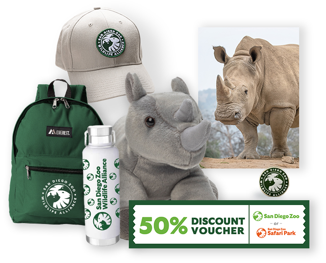 $1,000 Rhino Adoption