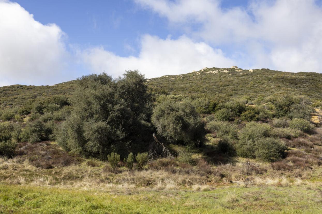 Descanso Ranchland