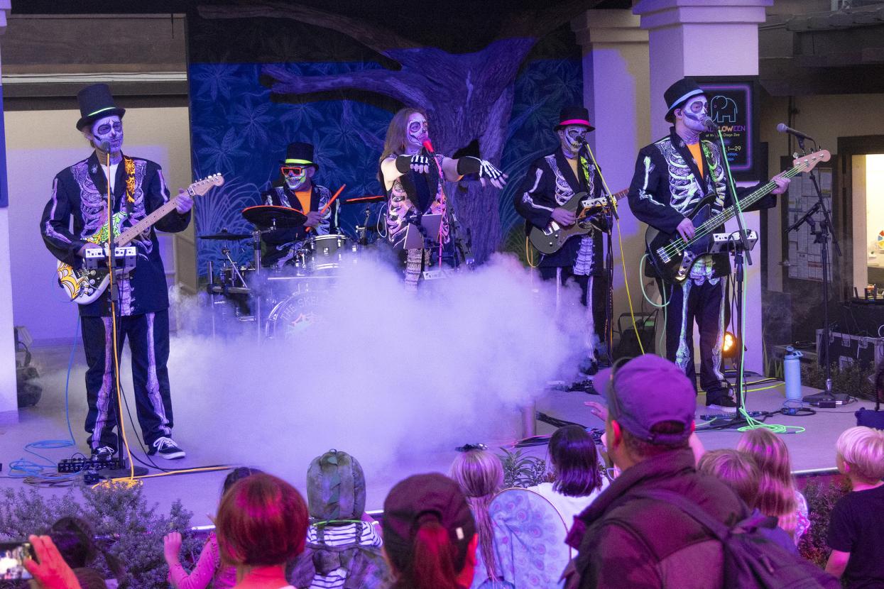 Skeleton musicians
