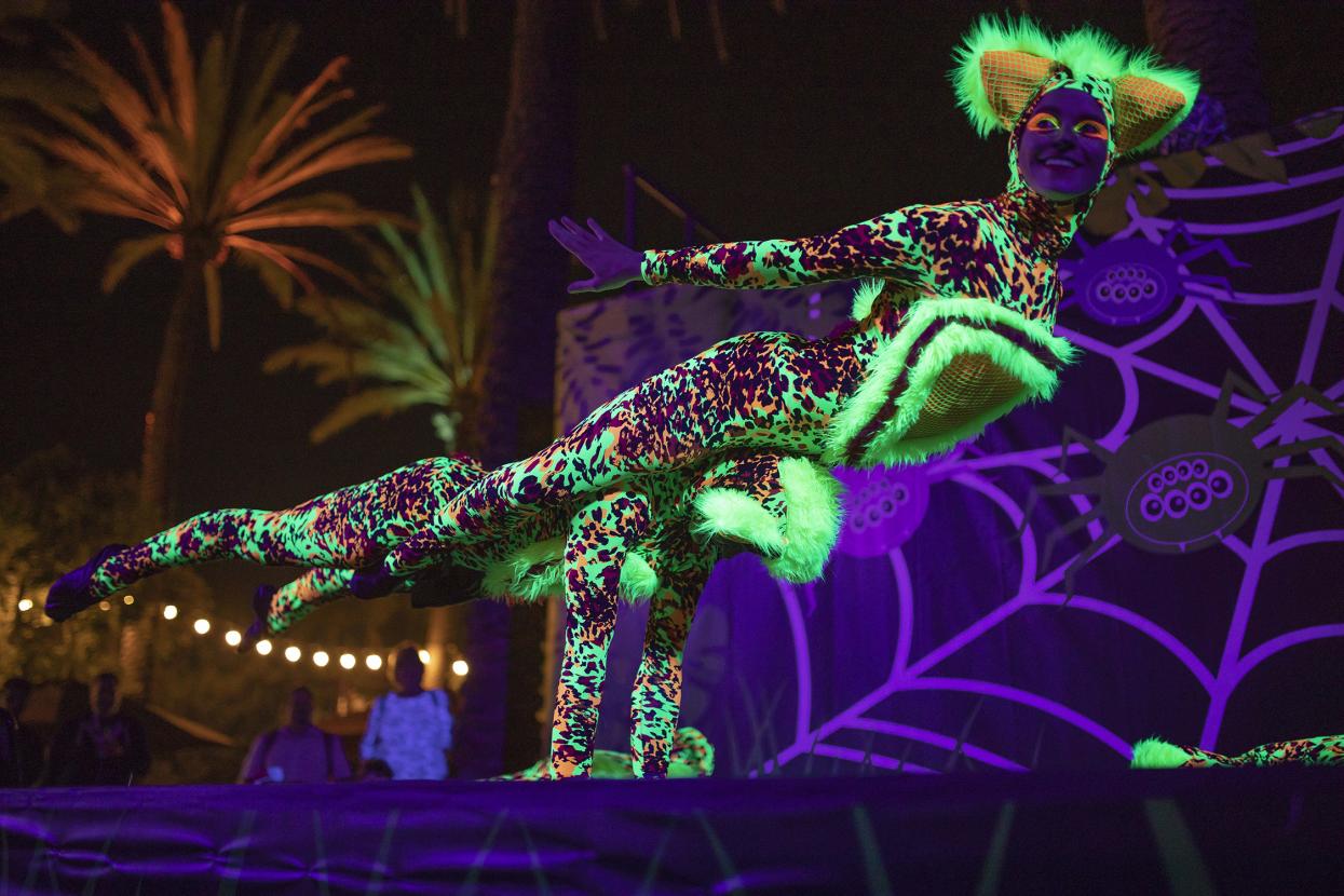 Colorful acrobat