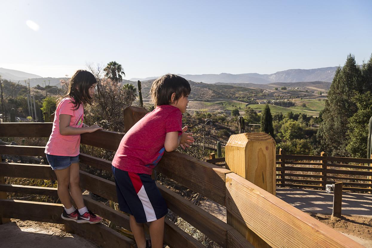 Overlook at gardens
