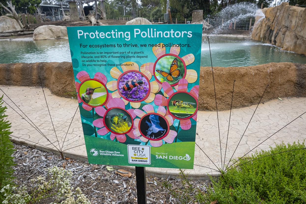 Bee City sign