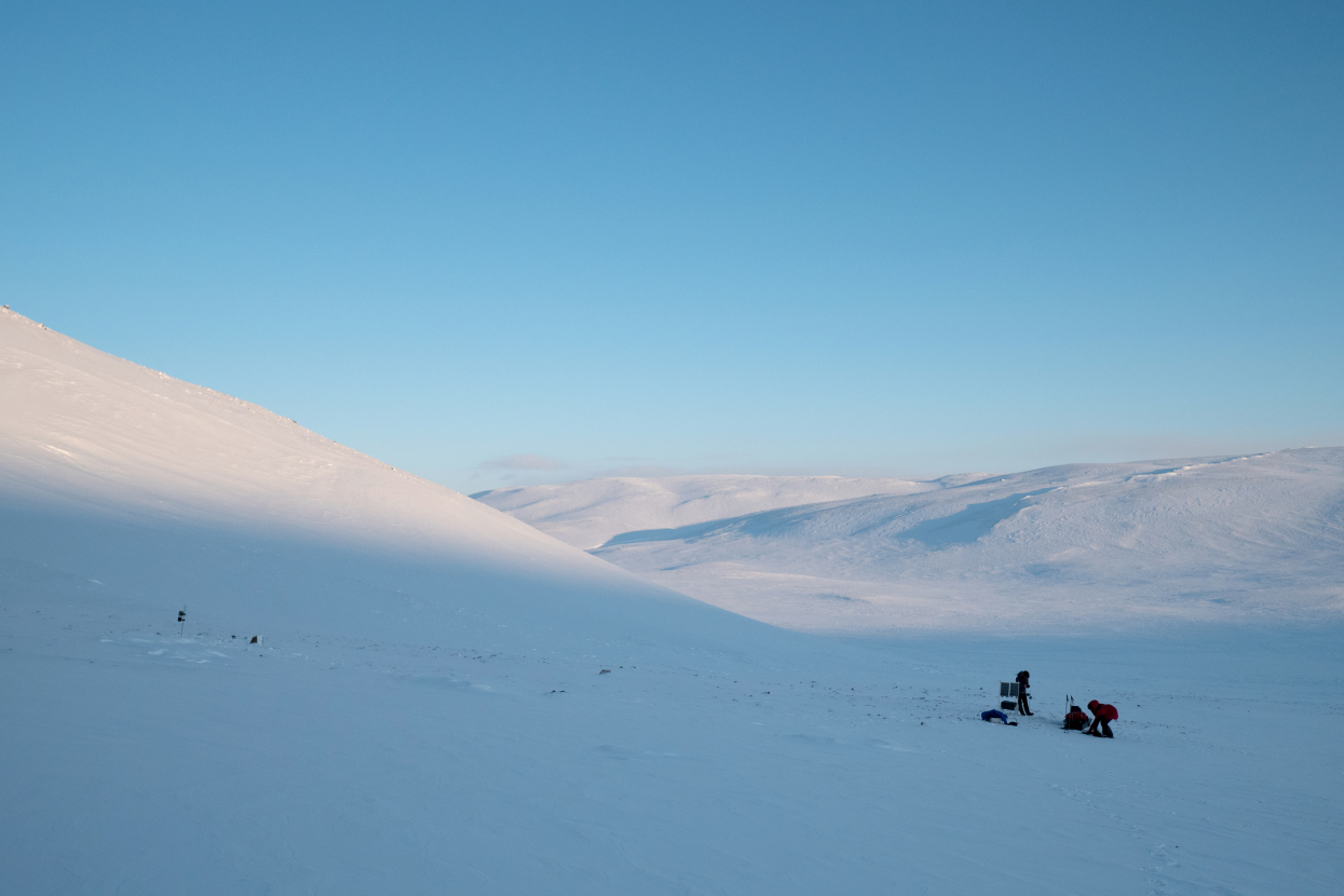team in Arctic 