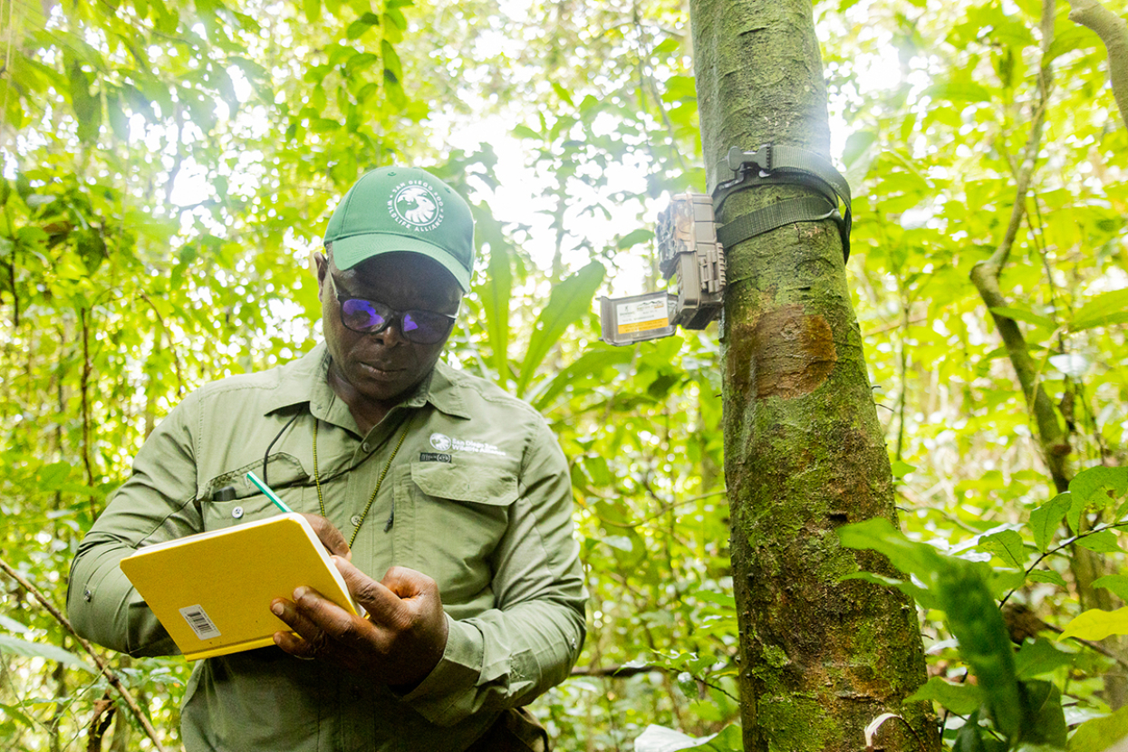 Conservationist writing in notebook