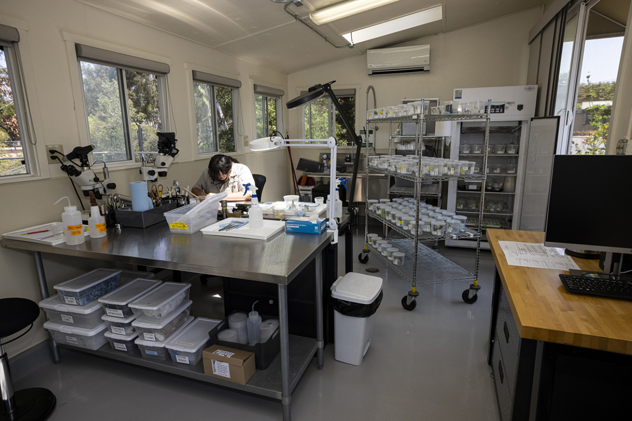 Interior of Butterfly Conservation Lab