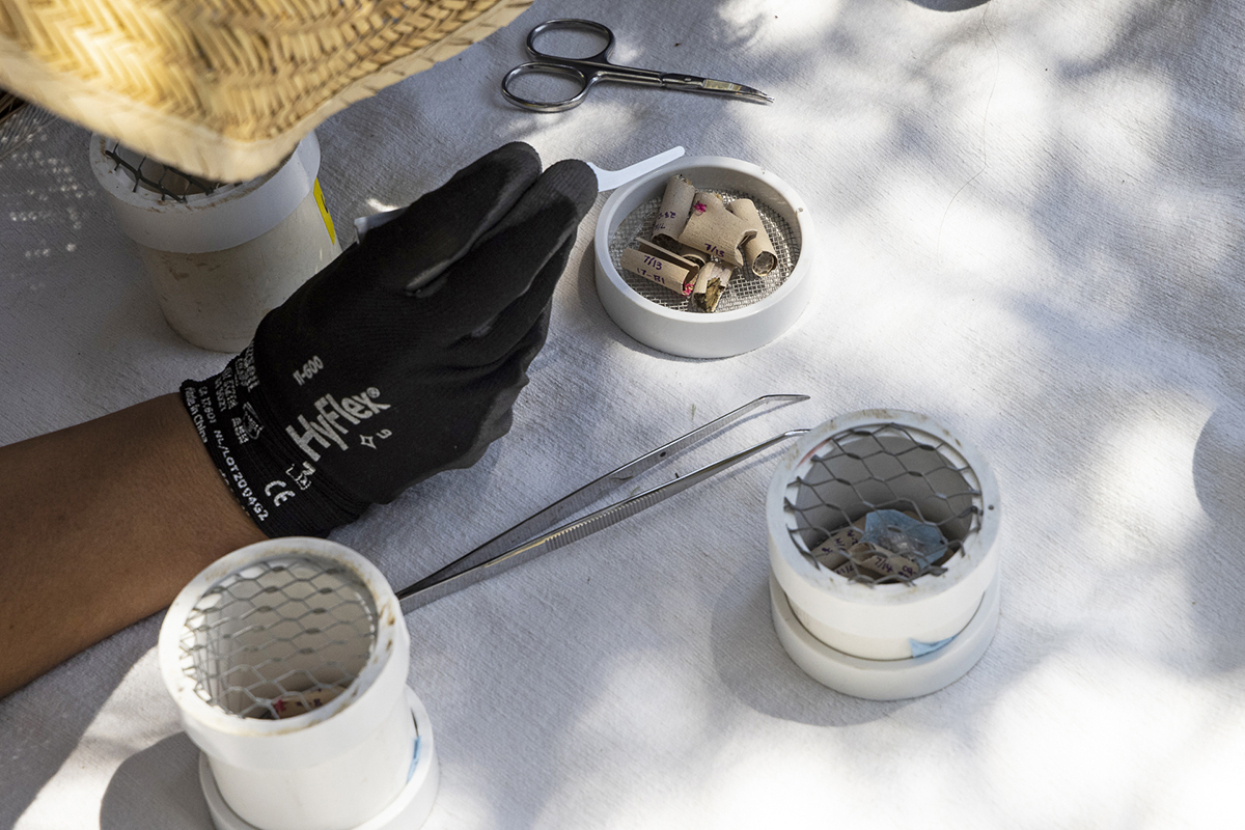 Laguna Mountains skipper release tools