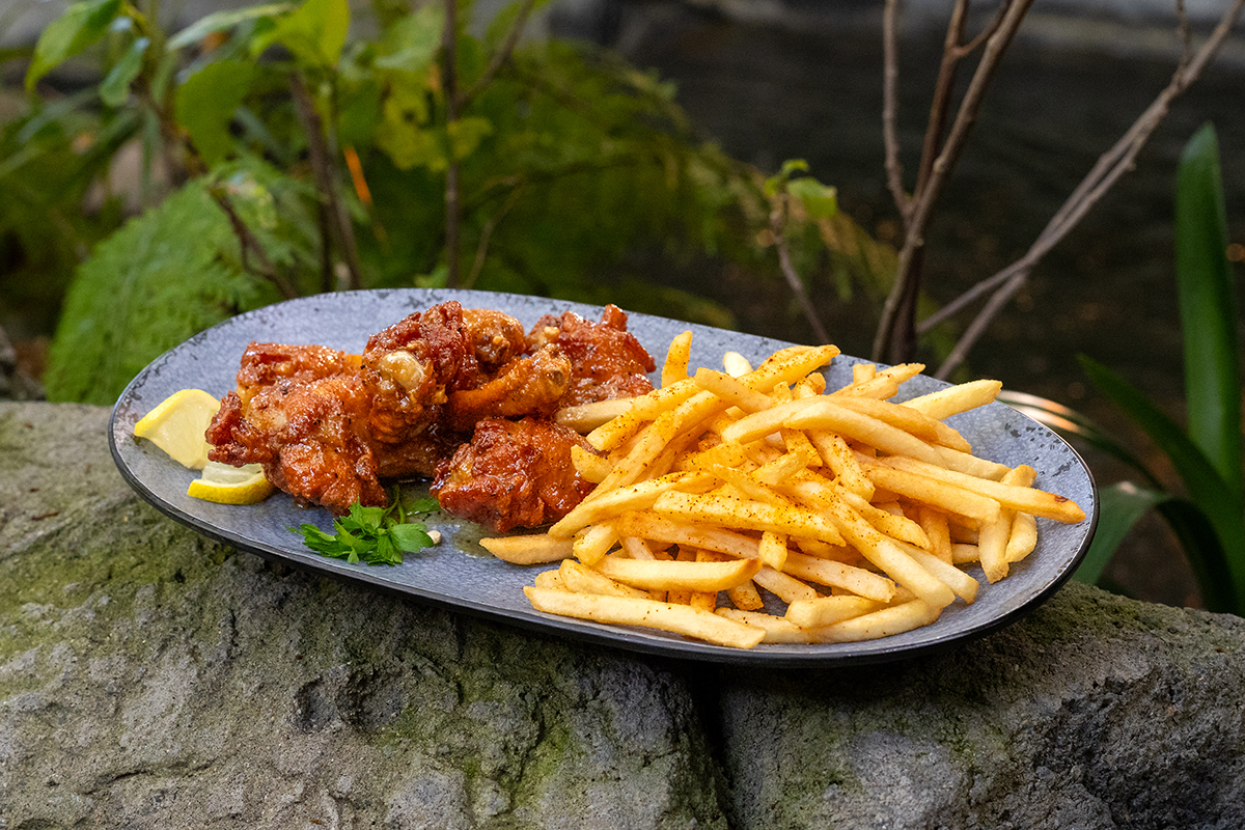 lemon pepper wings and fries 
