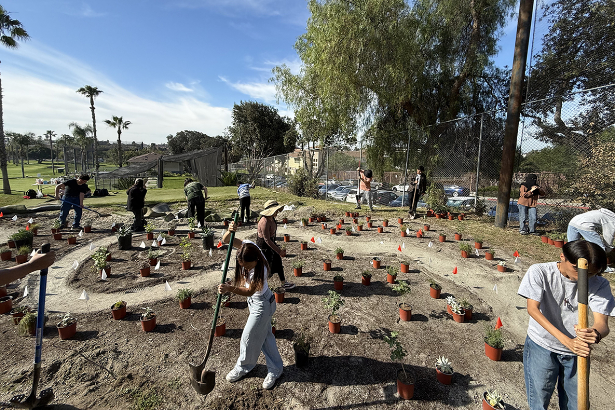 Several students planting new plants