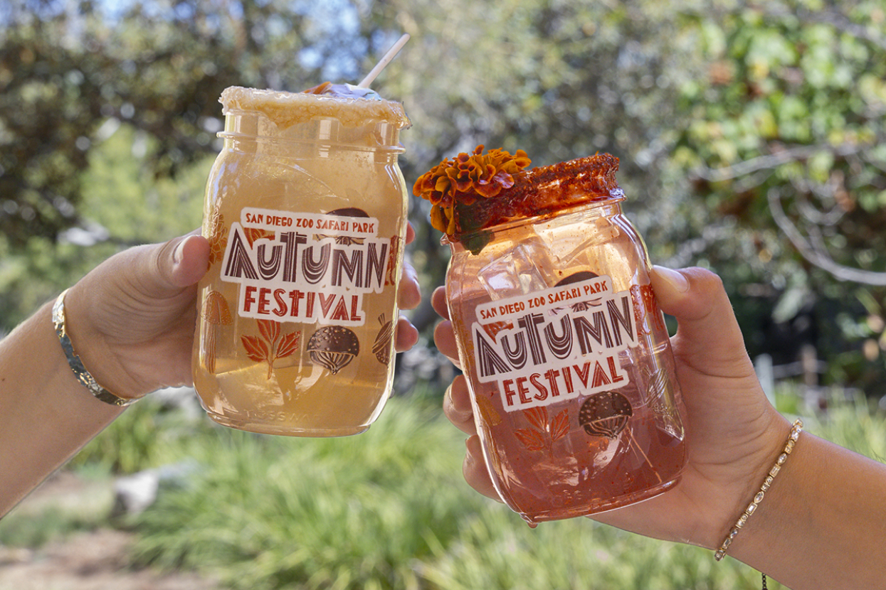 cocktails for autumn festival 