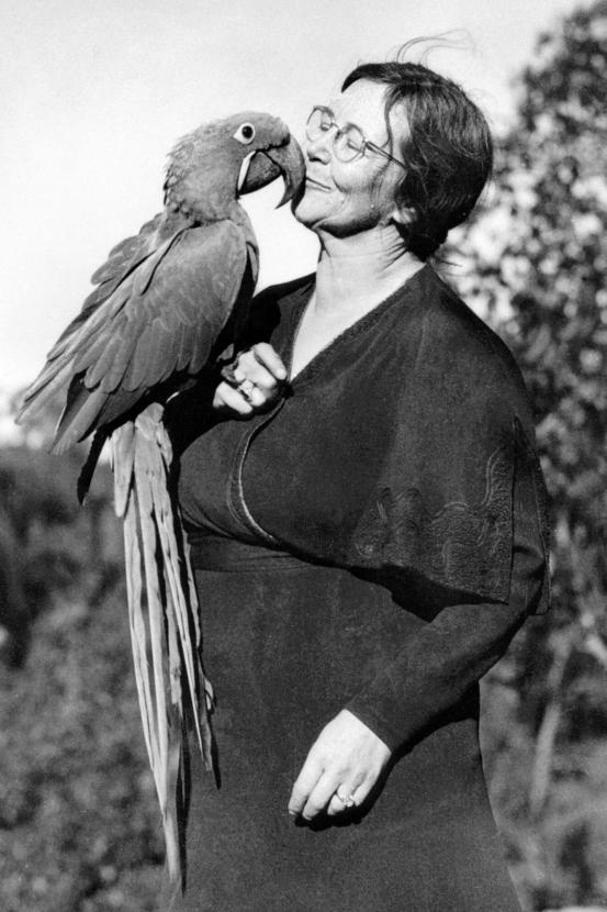 Belle Benchley