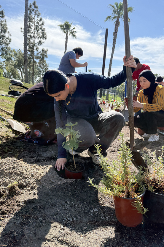 Student planting a new plant