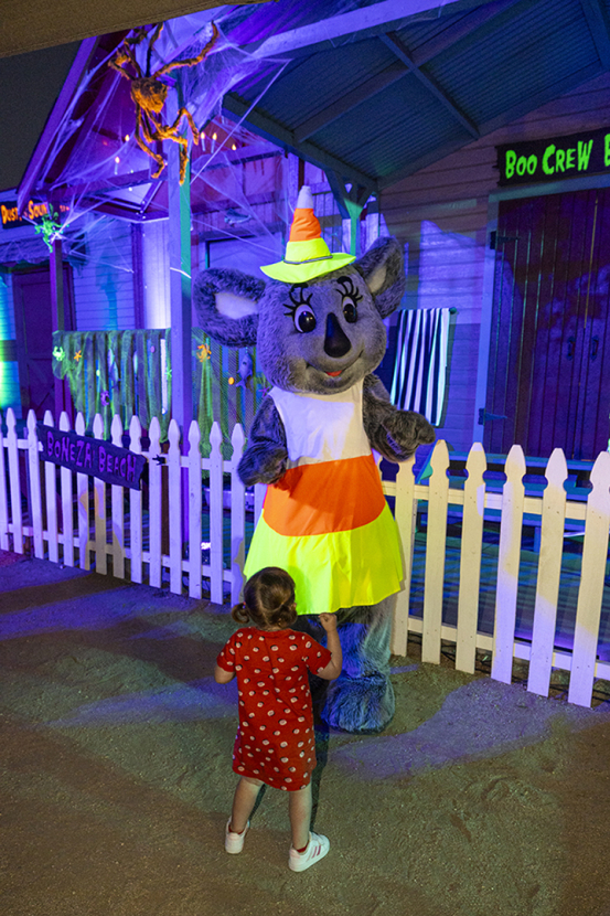 Sydney koala dressed up for halloween