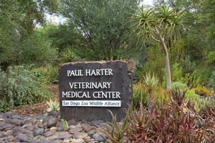 Entrance sign to Paul Harter Veterinary Medical Center