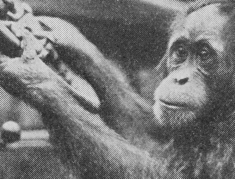 Centennial Throwback: Maggie and the Model T