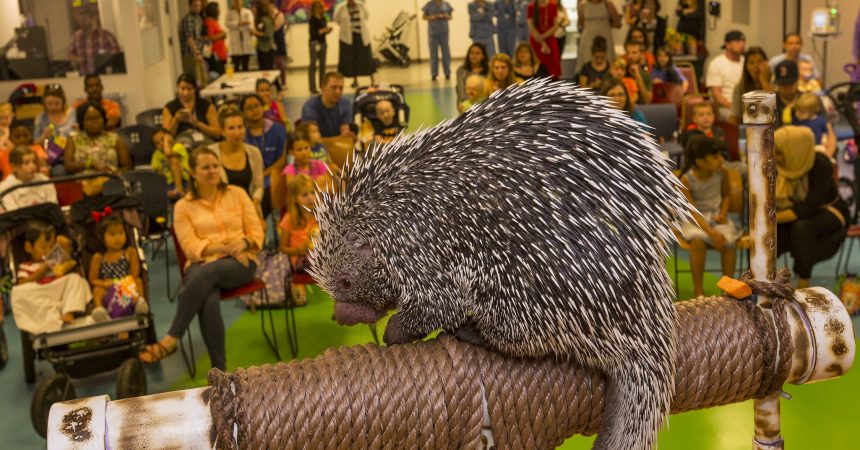 Zoos Bring Animal Kingdom to Patients at Boston Children’s Hospital